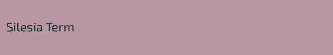 Silesia Term
